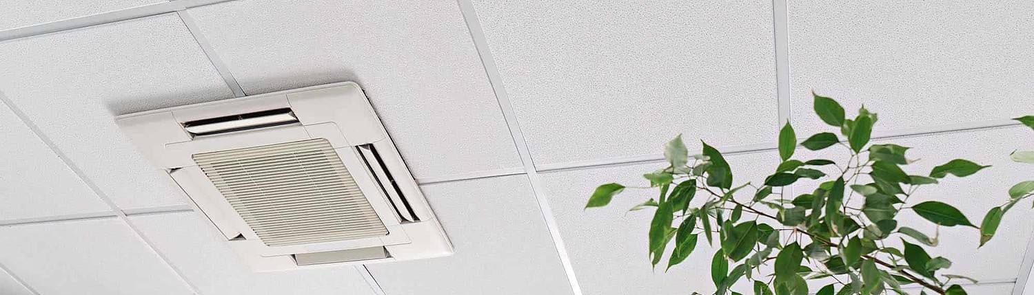 Cassette air conditioner on ceiling in modern light office or apartment with green ficus plant leaves_